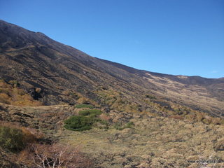 nte Zappinazzo-04-11-2012 11-05-38